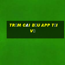 Trạm Cái Bầu app Tải về