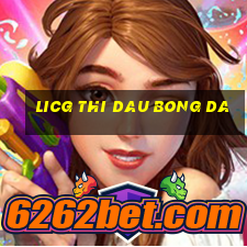 licg thi dau bong da