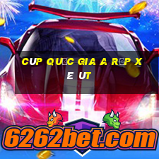 cúp quốc gia a rập xê út