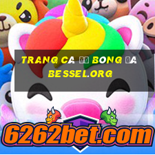 trang cá độ bóng đá bessel.org