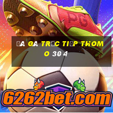 đá gà trực tiếp thomo 30 4