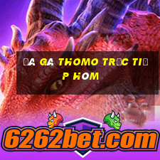 đá gà thomo trực tiếp hôm