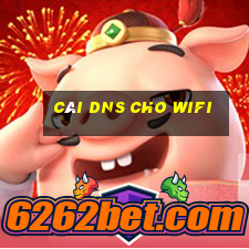 cài dns cho wifi