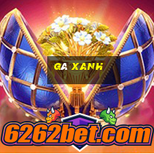 gà xanh