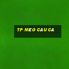 TP Mèo Câu Cá