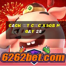 Cách đặt cược XSQB ngày 28