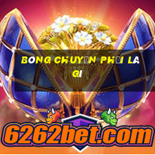 bóng chuyền phủi là gì