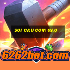 soi cau com gao