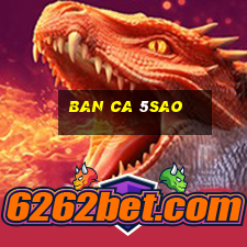 ban ca 5sao