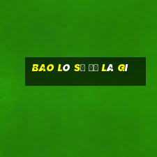 bao lô số đề là gì