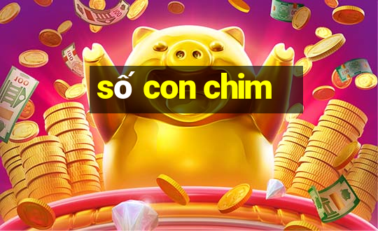 số con chim