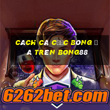 cách cá cược bóng đá trên bong88