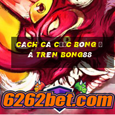 cách cá cược bóng đá trên bong88