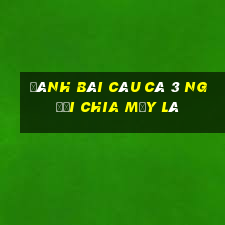 đánh bài câu cá 3 người chia mấy lá