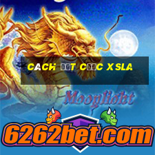 Cách đặt cược XSLA