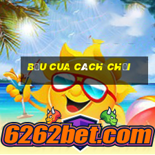 bầu cua cách chơi