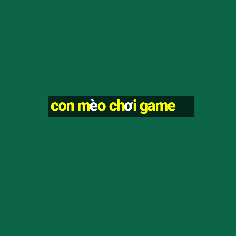 con mèo chơi game