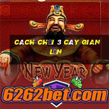 cách chơi 3 cây gian lận