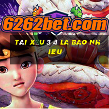 tài xỉu 3 4 la bao nhieu