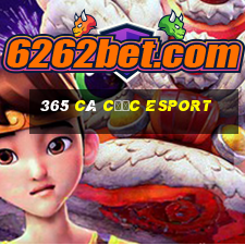 365 cá cược esport