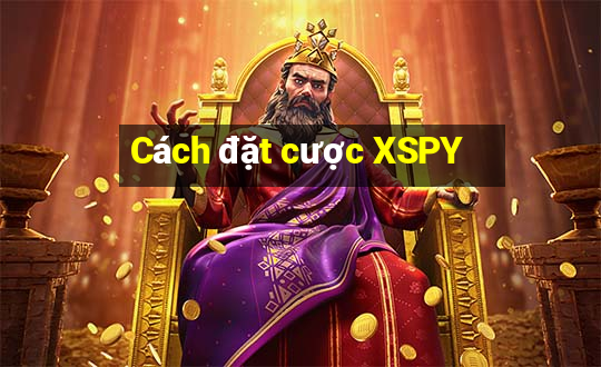 Cách đặt cược XSPY