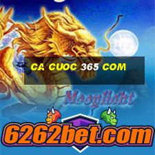 ca cuoc 365 com