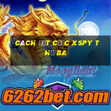 Cách đặt cược XSPY thứ Ba