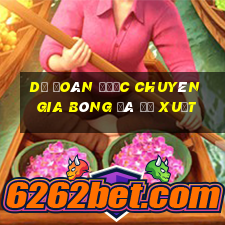 Dự đoán được chuyên gia bóng đá đề xuất