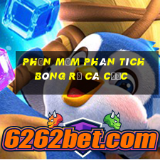 Phần mềm phân tích bóng rổ cá cược