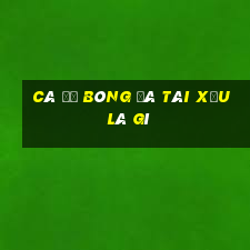 cá độ bóng đá tài xỉu là gì