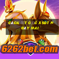 Cách đặt cược XSDT ngày mai