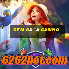 xem gà đá casino