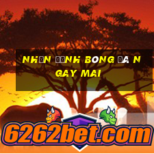 nhận định bóng đá ngay mai