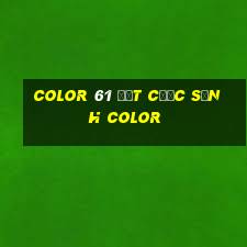 Color 61 đặt cược Sảnh Color