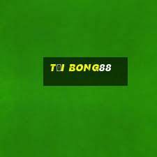 tải bong88