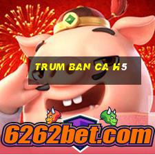 trum ban ca h5