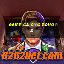 game cá cược bóng đá