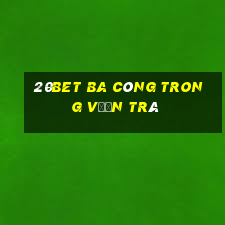 20bet Ba công trong vườn trà