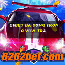 20bet Ba công trong vườn trà