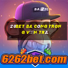 20bet Ba công trong vườn trà