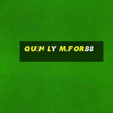 Quản lý m.for88