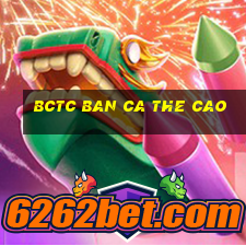 bctc ban ca the cao