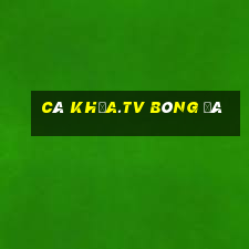 cà khịa.tv bóng đá