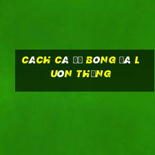 cách cá độ bóng đá luôn thắng