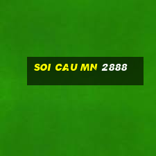 soi cau mn 2888