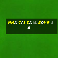 nhà cái cá độ bóng đá