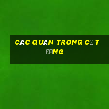 các quân trong cờ tướng