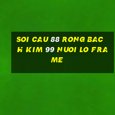 soi cau 88 rong bach kim 99 nuoi lo frame