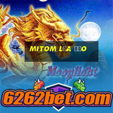 Mitom Lừa Đảo