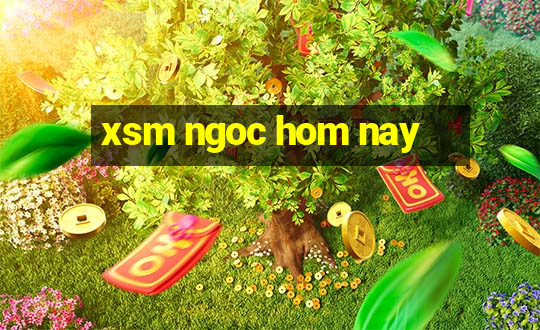 xsm ngoc hom nay